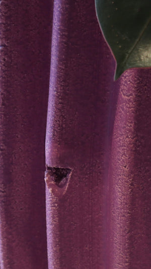 Rhubarb Planter | Grape Matte
